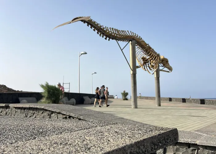 Apartment Chc - Canarina